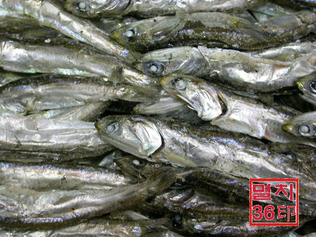 죽방멸치7080-1k,선물세트,선물용멸치,웰빙멸치,1Kg
